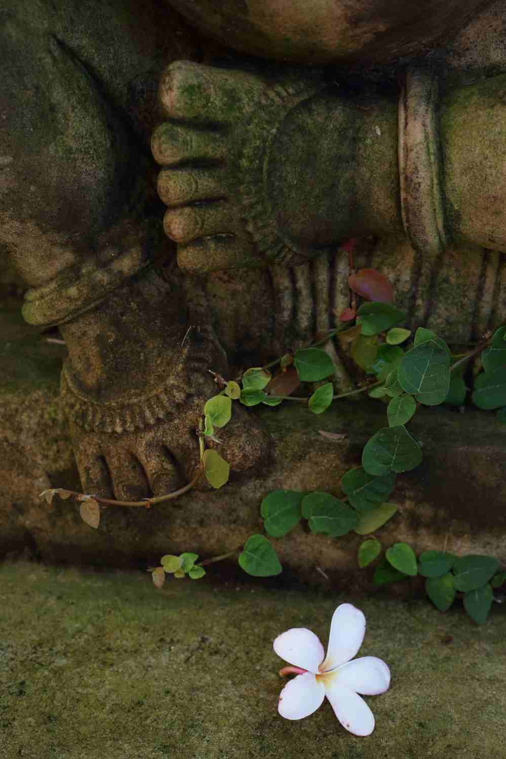 CLIFF VIEW AYURVEDA HOME