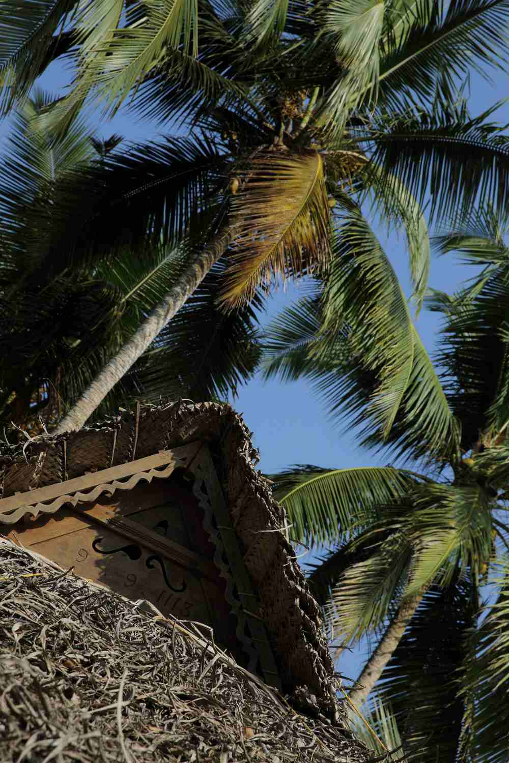 CLIFF VIEW AYURVEDA HOME
