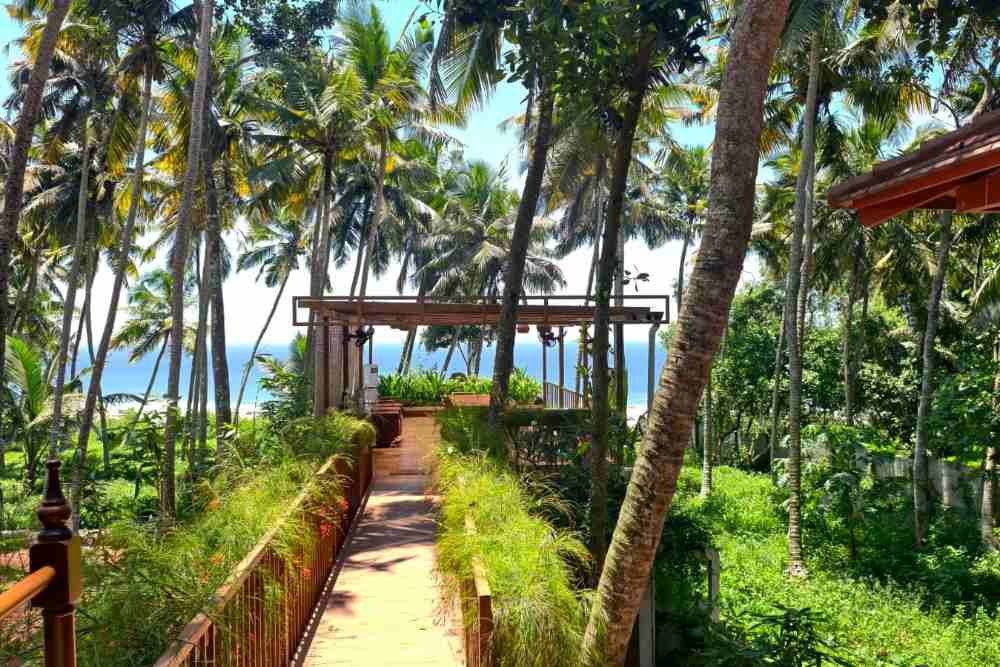 CLIFF VIEW AYURVEDA HOME