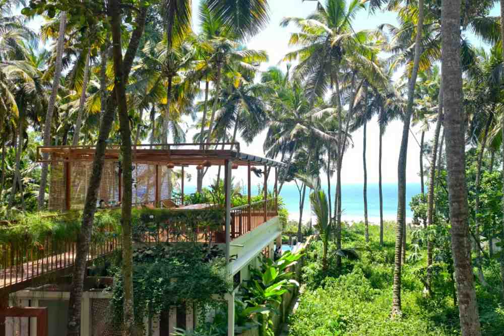CLIFF VIEW AYURVEDA HOME